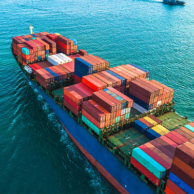 Shipping Sector